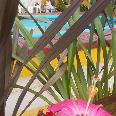 Casa Pousada Rosa Dos Ventos Florianópolis Εξωτερικό φωτογραφία